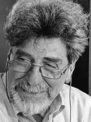Stefano Vignaroli